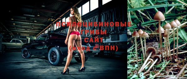 mix Абаза