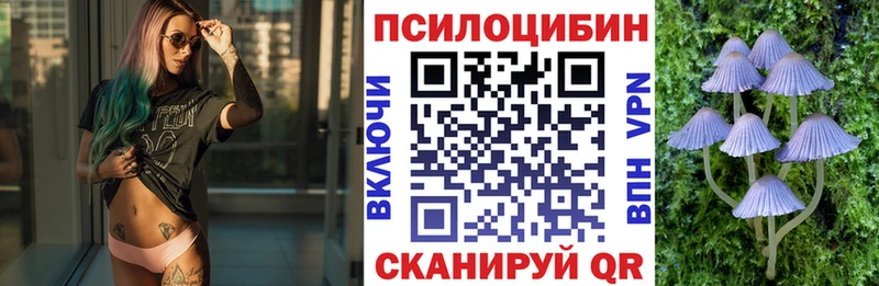 закладка Горбатов Галлюциногенные грибы Psilocybe